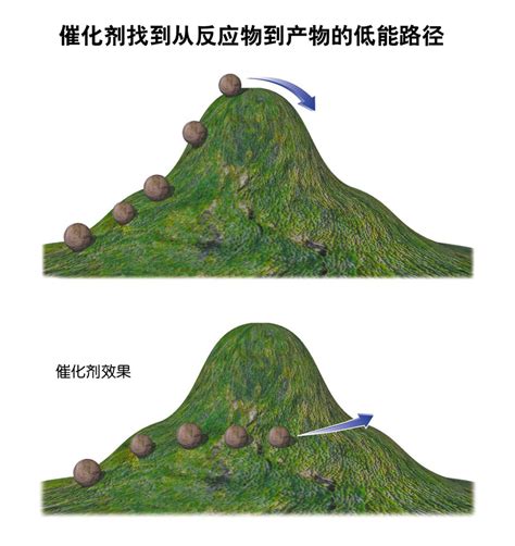 催化作用|催化科学在化学工业和人类社会发展过程中的作用？